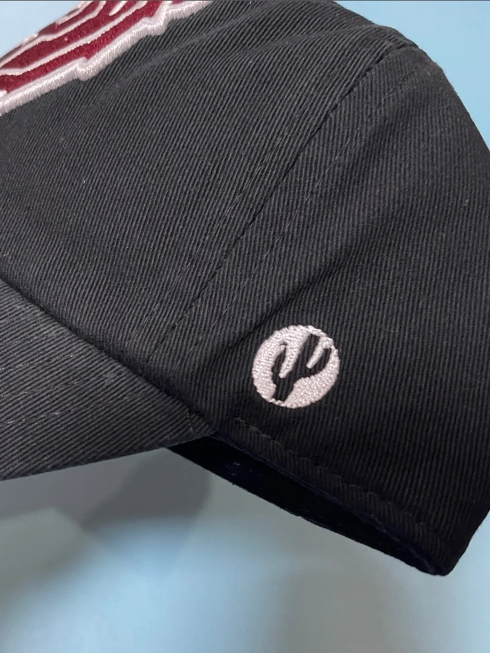 Cactus Desert Cactus Black Baseball Cap with White Logo